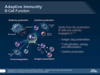  Adaptive Immunity B-Cell Function 
